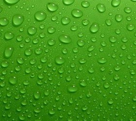 MD-WD332竹炭洁盾无添加墙面漆